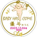 出産内祝い403 BABY HAS COME 